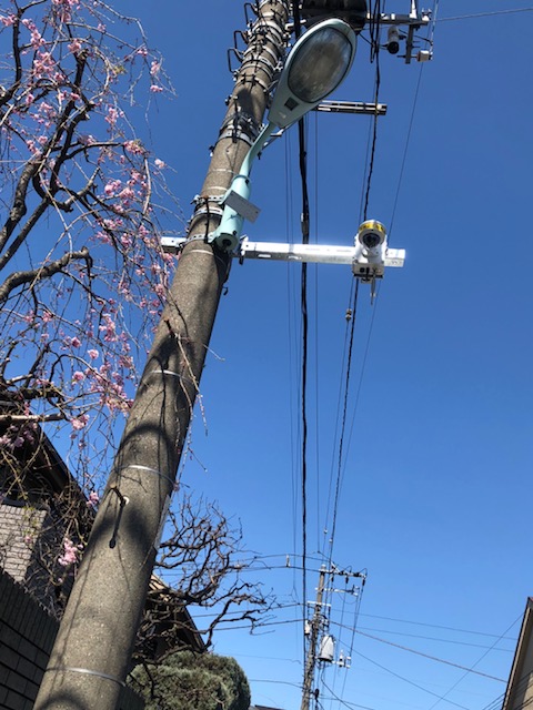 電柱と桜_要町二丁目9番ｶﾒﾗ.jpg